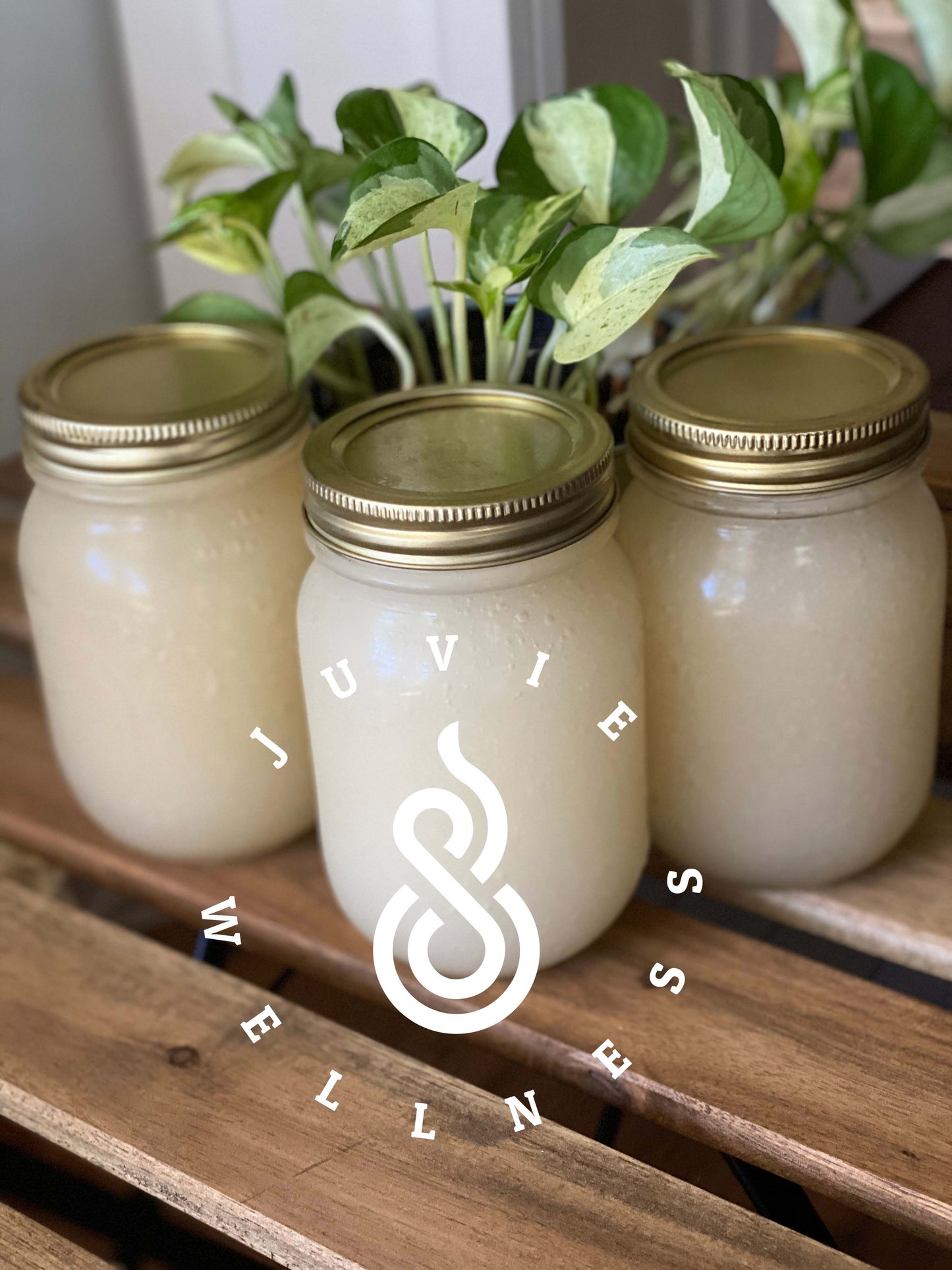 Irish Sea Moss Gel 3 Pack Bundle - Juvie Wellness Co.