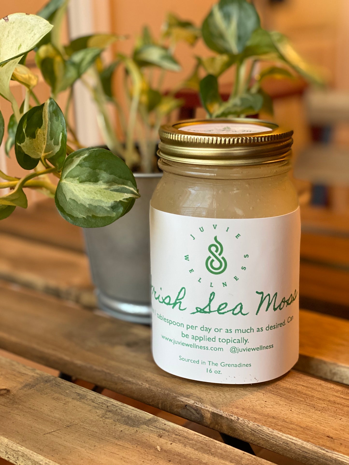 Irish Sea Moss Gel - Juvie Wellness Co.