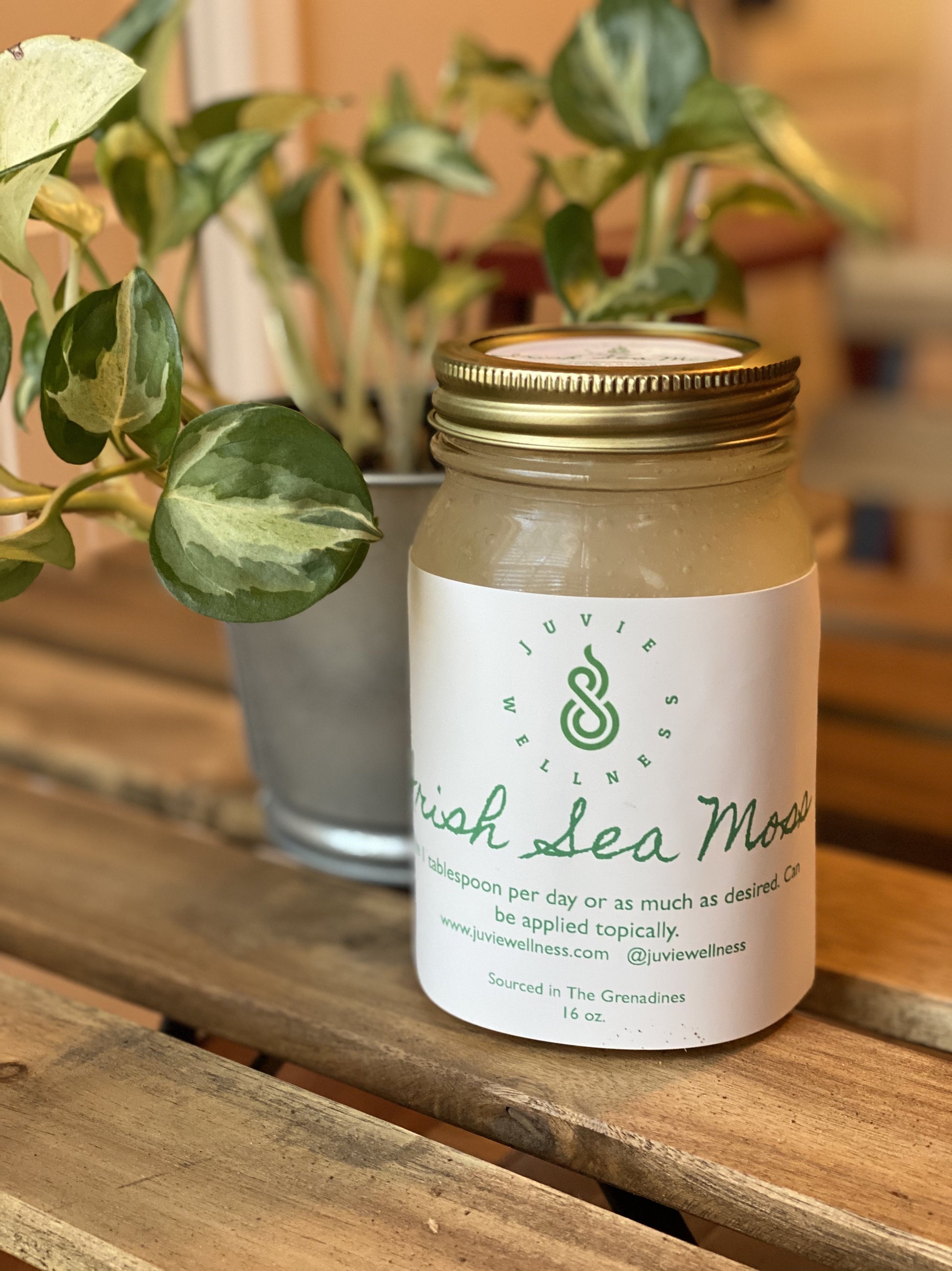 Irish Sea Moss Gel 3 Pack Bundle - Juvie Wellness Co.