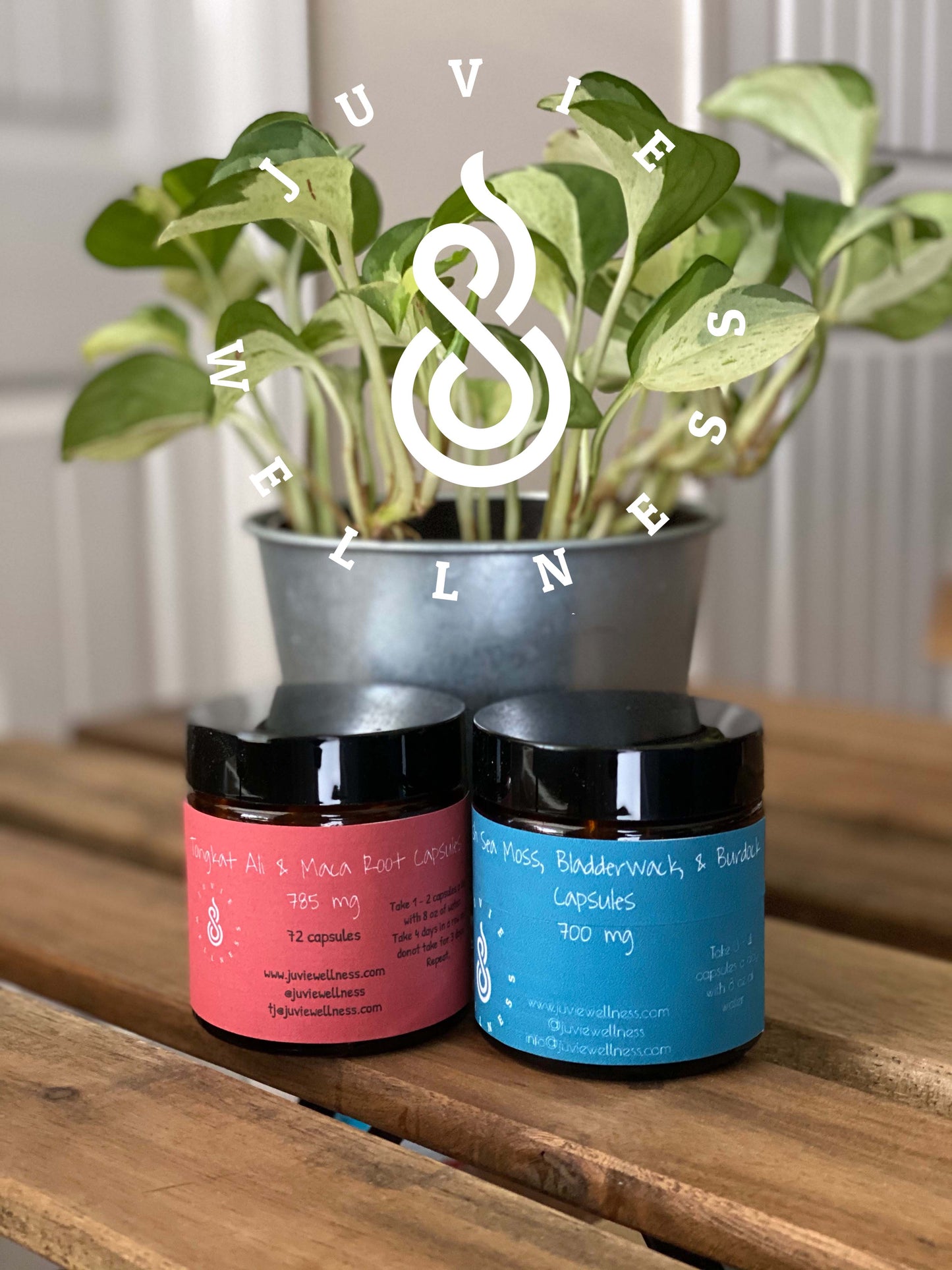 Male Wellness Bundle: Cellular Rejuvenation Capsules & Tongkat Ali (Eurycoma longifolia: Long Jack) 735 mg Capsules - Juvie Wellness Co.